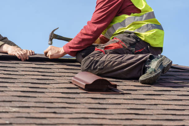 Best Metal Roofing Contractor  in , DC