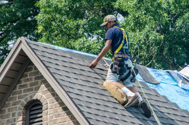 Best Shingle Roofing Installation  in , DC